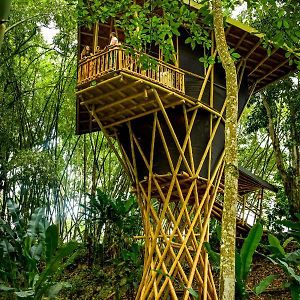 Eco Hotel Hacienda El Diamante